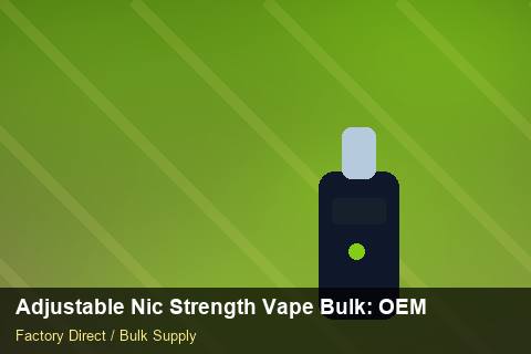 Adjustable Nic Strength Vape Bulk — Adjustable Nic Strength Vape Bulk: OEM & ODM Service — Logo Placement photo 1