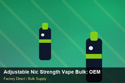 Adjustable Nic Strength Vape Bulk — Adjustable Nic Strength Vape Bulk: OEM & ODM Service — Logo Placement photo 2