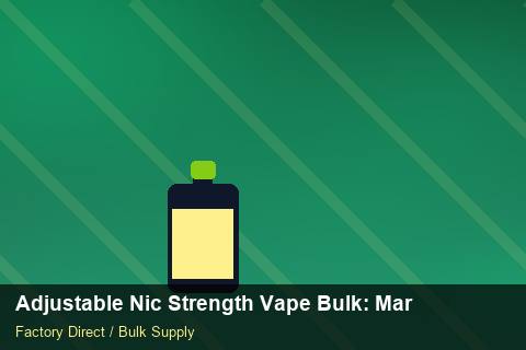 Adjustable Nic Strength Vape Bulk — Adjustable Nic Strength Vape Bulk: Market Trends 2026 — Logo Placement photo 1