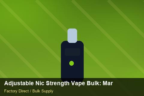 Adjustable Nic Strength Vape Bulk — Adjustable Nic Strength Vape Bulk: Market Trends 2026 — Logo Placement photo 2