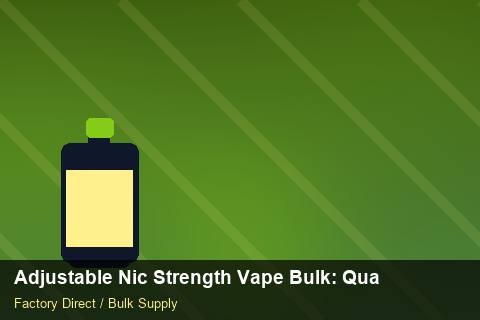 Adjustable Nic Strength Vape Bulk — Adjustable Nic Strength Vape Bulk: Quality Control Process — Logo Placement photo 2