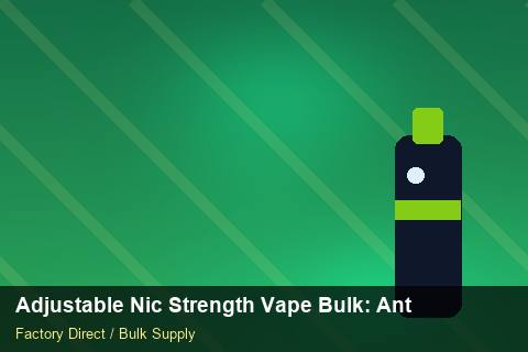 Adjustable Nic Strength Vape Bulk — Adjustable Nic Strength Vape Bulk: Anti-Counterfeit Measures — Logo Placement photo 2