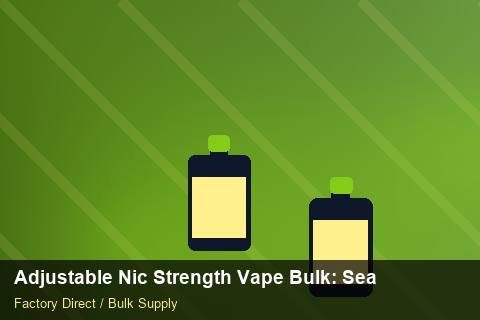 Adjustable Nic Strength Vape Bulk — Adjustable Nic Strength Vape Bulk: Seasonal Planning — Logo Placement photo 1