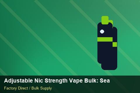 Adjustable Nic Strength Vape Bulk — Adjustable Nic Strength Vape Bulk: Seasonal Planning — Logo Placement photo 2