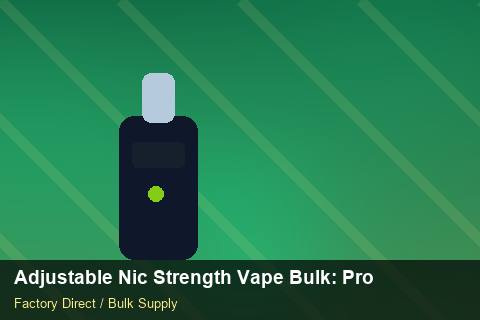 Adjustable Nic Strength Vape Bulk — Adjustable Nic Strength Vape Bulk: Product Launch Playbook — Logo Placement photo 1