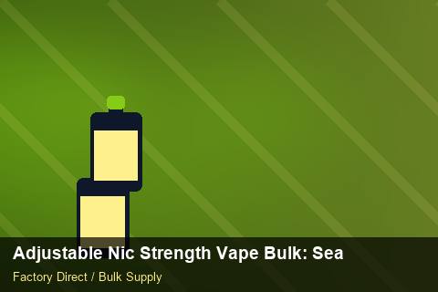 Adjustable Nic Strength Vape Bulk — Adjustable Nic Strength Vape Bulk: Seasonal Planning — Artwork Specs photo 1