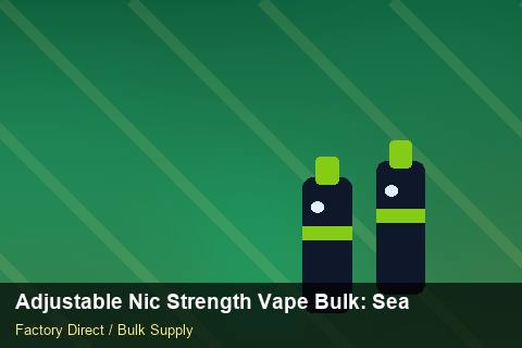 Adjustable Nic Strength Vape Bulk — Adjustable Nic Strength Vape Bulk: Seasonal Planning — Serialisation photo 2