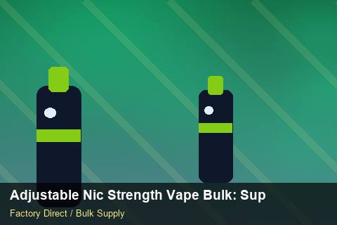 Adjustable Nic Strength Vape Bulk — Adjustable Nic Strength Vape Bulk: Supplier Vetting — Recyclable Materials photo 1