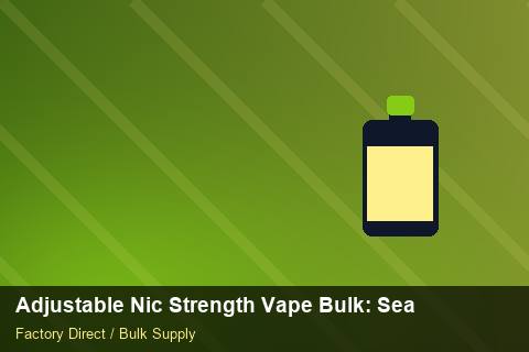 Adjustable Nic Strength Vape Bulk — Adjustable Nic Strength Vape Bulk: Seasonal Planning — Recyclable Materials photo 1