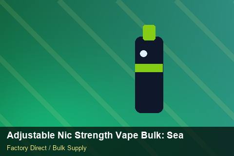 Adjustable Nic Strength Vape Bulk — Adjustable Nic Strength Vape Bulk: Seasonal Planning — Recyclable Materials photo 2