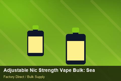 Adjustable Nic Strength Vape Bulk — Adjustable Nic Strength Vape Bulk: Seasonal Planning — Carbon Footprint photo 1