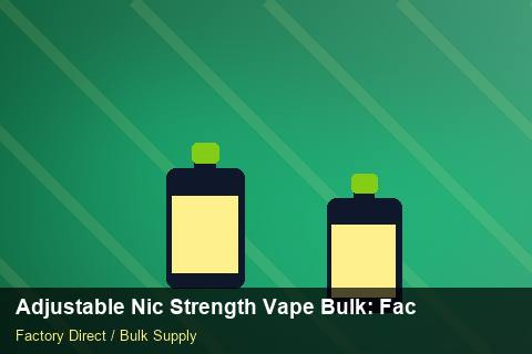 Adjustable Nic Strength Vape Bulk — Adjustable Nic Strength Vape Bulk: Factory Direct Quote — Battery Recycling photo 1