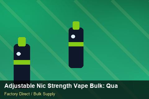 Adjustable Nic Strength Vape Bulk — Adjustable Nic Strength Vape Bulk: Quality Inspection Checklist — EPR Registration photo 2