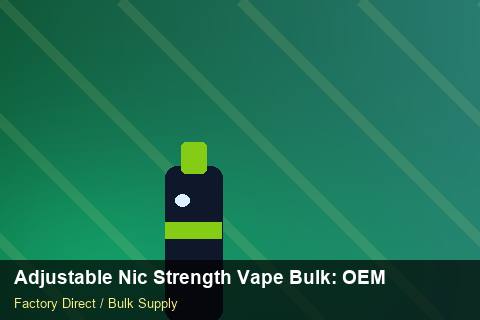Adjustable Nic Strength Vape Bulk — Adjustable Nic Strength Vape Bulk: OEM & ODM Service — EPR Registration photo 2