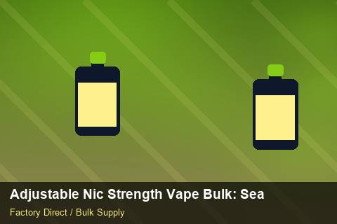 Adjustable Nic Strength Vape Bulk — Adjustable Nic Strength Vape Bulk: Seasonal Planning — EPR Registration photo 1