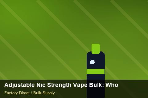 Adjustable Nic Strength Vape Bulk — Adjustable Nic Strength Vape Bulk: Wholesale Price — REACH Status photo 1