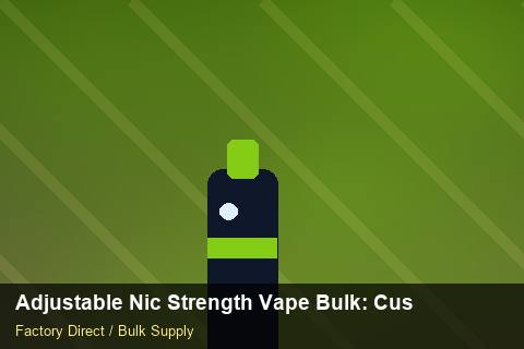 Adjustable Nic Strength Vape Bulk — Adjustable Nic Strength Vape Bulk: Customs Documentation — REACH Status photo 1