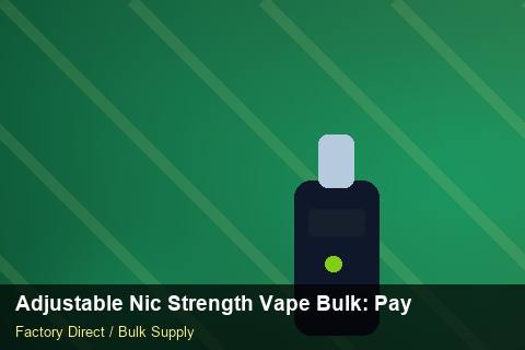 Adjustable Nic Strength Vape Bulk — Adjustable Nic Strength Vape Bulk: Payment Terms — REACH Status photo 2