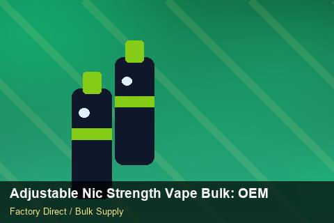 Adjustable Nic Strength Vape Bulk — Adjustable Nic Strength Vape Bulk: OEM & ODM Service — REACH Status photo 2