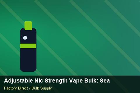 Adjustable Nic Strength Vape Bulk — Adjustable Nic Strength Vape Bulk: Seasonal Planning — REACH Status photo 2