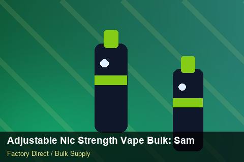 Adjustable Nic Strength Vape Bulk — Adjustable Nic Strength Vape Bulk: Sample Policy — RoHS Evidence photo 1