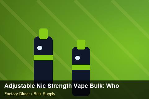 Adjustable Nic Strength Vape Bulk — Adjustable Nic Strength Vape Bulk: Wholesale Price — UN38.3 Summary photo 1