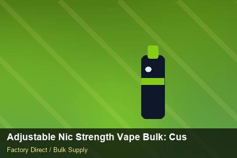 Adjustable Nic Strength Vape Bulk — Adjustable Nic Strength Vape Bulk: Customs Documentation — UN38.3 Summary photo 1