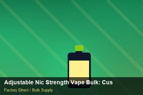 Adjustable Nic Strength Vape Bulk — Adjustable Nic Strength Vape Bulk: Customs Documentation — UN38.3 Summary photo 2