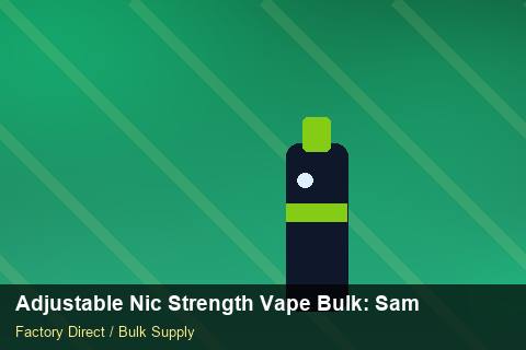 Adjustable Nic Strength Vape Bulk — Adjustable Nic Strength Vape Bulk: Sample Policy — UN38.3 Summary photo 1
