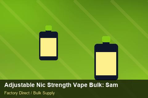 Adjustable Nic Strength Vape Bulk — Adjustable Nic Strength Vape Bulk: Sample Policy — UN38.3 Summary photo 2