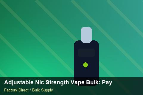 Adjustable Nic Strength Vape Bulk — Adjustable Nic Strength Vape Bulk: Payment Terms — UN38.3 Summary photo 2