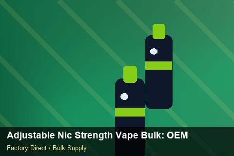 Adjustable Nic Strength Vape Bulk — Adjustable Nic Strength Vape Bulk: OEM & ODM Service — UN38.3 Summary photo 2