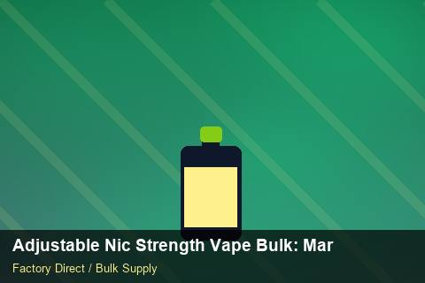 Adjustable Nic Strength Vape Bulk — Adjustable Nic Strength Vape Bulk: Market Trends 2026 — UN38.3 Summary photo 1