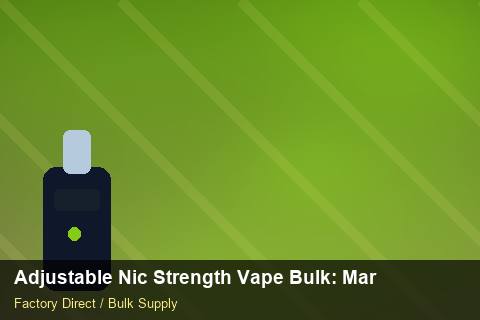 Adjustable Nic Strength Vape Bulk — Adjustable Nic Strength Vape Bulk: Market Trends 2026 — UN38.3 Summary photo 2