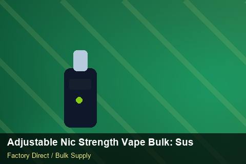Adjustable Nic Strength Vape Bulk — Adjustable Nic Strength Vape Bulk: Sustainability — UN38.3 Summary photo 2