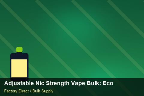 Adjustable Nic Strength Vape Bulk — Adjustable Nic Strength Vape Bulk: Eco-Friendly Materials — UN38.3 Summary photo 1