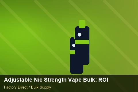 Adjustable Nic Strength Vape Bulk — Adjustable Nic Strength Vape Bulk: ROI Analysis — UN38.3 Summary photo 1