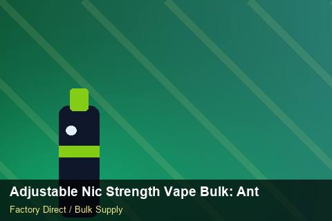 Adjustable Nic Strength Vape Bulk — Adjustable Nic Strength Vape Bulk: Anti-Counterfeit Measures — UN38.3 Summary photo 2