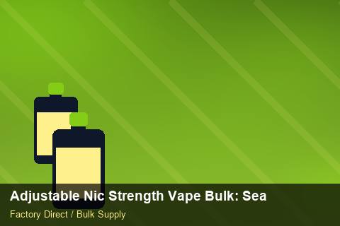 Adjustable Nic Strength Vape Bulk — Adjustable Nic Strength Vape Bulk: Seasonal Planning — UN38.3 Summary photo 1