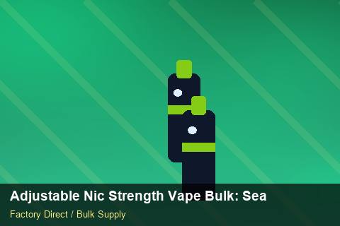 Adjustable Nic Strength Vape Bulk — Adjustable Nic Strength Vape Bulk: Seasonal Planning — UN38.3 Summary photo 2