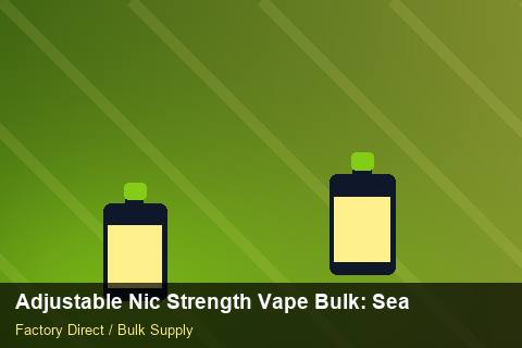 Adjustable Nic Strength Vape Bulk — Adjustable Nic Strength Vape Bulk: Seasonal Planning — Rail Options photo 1