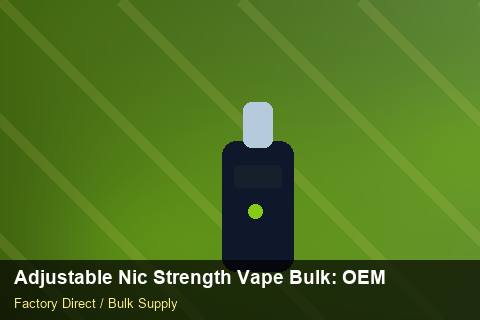 Adjustable Nic Strength Vape Bulk — Adjustable Nic Strength Vape Bulk: OEM & ODM Service — Last-Mile Delivery photo 1