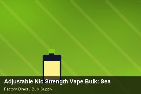 Adjustable Nic Strength Vape Bulk — Adjustable Nic Strength Vape Bulk: Seasonal Planning — Last-Mile Delivery photo 1