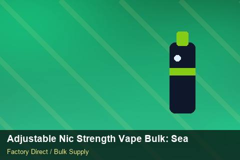 Adjustable Nic Strength Vape Bulk — Adjustable Nic Strength Vape Bulk: Seasonal Planning — Last-Mile Delivery photo 2