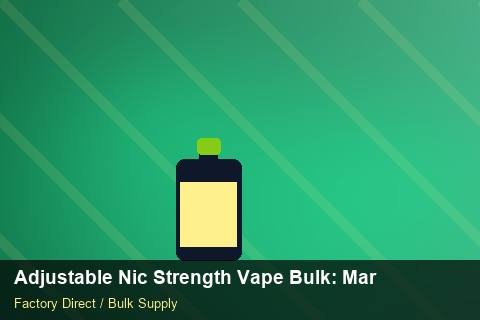Adjustable Nic Strength Vape Bulk — Adjustable Nic Strength Vape Bulk: Market Trends 2026 — 3PL Integration photo 1