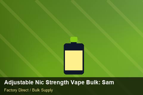 Adjustable Nic Strength Vape Bulk — Adjustable Nic Strength Vape Bulk: Sample Policy — Dropship Setup photo 2