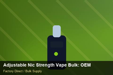 Adjustable Nic Strength Vape Bulk — Adjustable Nic Strength Vape Bulk: OEM & ODM Service — API Integration photo 1