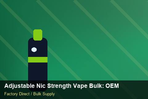 Adjustable Nic Strength Vape Bulk — Adjustable Nic Strength Vape Bulk: OEM & ODM Service — API Integration photo 2