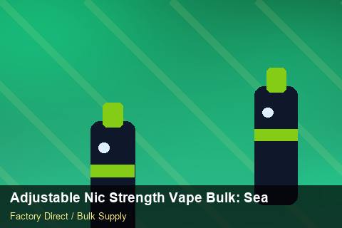 Adjustable Nic Strength Vape Bulk — Adjustable Nic Strength Vape Bulk: Seasonal Planning — API Integration photo 2