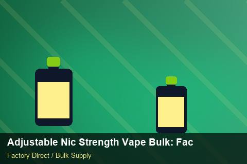 Adjustable Nic Strength Vape Bulk — Adjustable Nic Strength Vape Bulk: Factory Direct Quote — EDI Setup photo 1